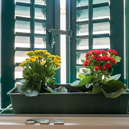 Imperator 게스트하우스 4*