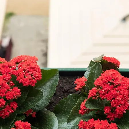 Imperator 4* 스플리트